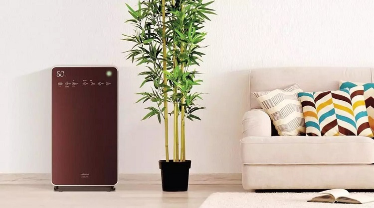 Máy lọc không khí Hitachi thanh lọc hiệu quả mùi hoa sữa và làm sạch không khí xung quanh